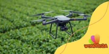 How drones are revolutionizing agriculture worldwide